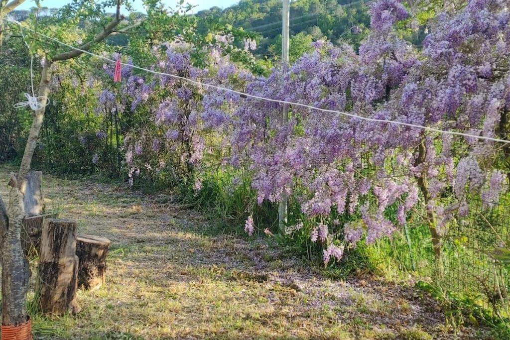 Dependance Nel Chianti A Pochi Minuti Da Firenze Daire Impruneta Dış mekan fotoğraf